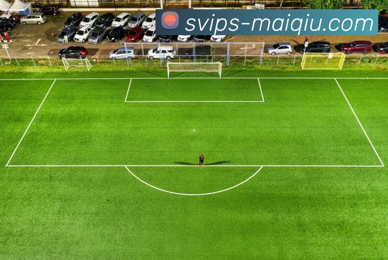 多媒体互动体验