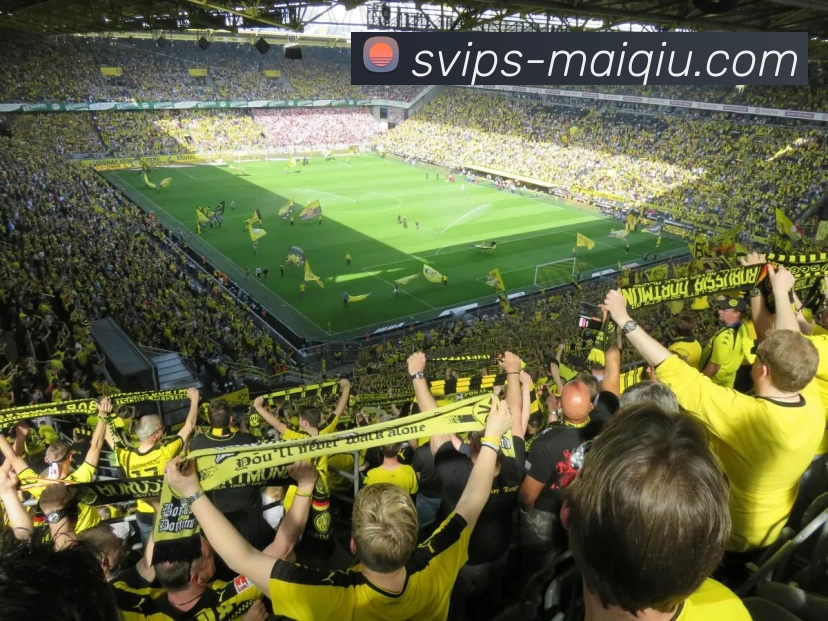 买球线上官方APP 体育赛事宣传图